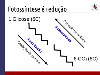 Fotossíntese é redução
1 Glicose (6C)
6 CO2 (6C)
R
espiração
O
xidação
do
carbono
R
edução
do
carbono
Fotossíntese
 