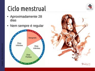 Ciclo menstrual
Imagem:http://news.slnutrition.com
● Aproximadamente 28
dias
● Nem sempre é regular
 