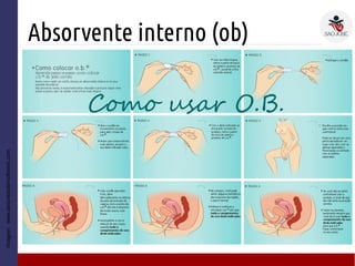 Absorvente interno (ob)
Imagem:www.assuntosdemulheres.com
● 2
 