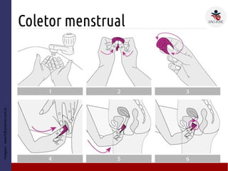Coletor menstrual
Imagem:www.folhavitoria.com.br
● 2
 