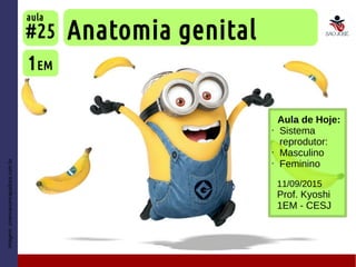 Imagem:cinemacomrapadura.com.br
Aula de Hoje:
• Sistema
reprodutor:
• Masculino
• Feminino
Anatomia genital
1EM
#25
aula
11/09/2015
Prof. Kyoshi
1EM - CESJ
 