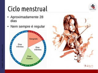 Ciclo menstrual
Imagem:http://news.slnutrition.com
● Aproximadamente 28
dias
● Nem sempre é regular
 