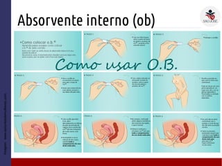 Absorvente interno (ob)
Imagem:www.assuntosdemulheres.com
● 2
 