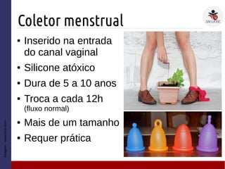 Coletor menstrual
Imagem:www.vice.com
● Inserido na entrada
do canal vaginal
● Silicone atóxico
● Dura de 5 a 10 anos
● Troca a cada 12h
(fluxo normal)
● Mais de um tamanho
● Requer prática
 