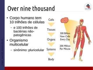 Over nine thousand
Imagem:www.health-choices-for-life.com
● Corpo humano tem
10 trilhões de células
– e 100 trilhões de
bactérias não-
patogênicas
● Organismo
multicelular
– sinônimo: pluricelular
 