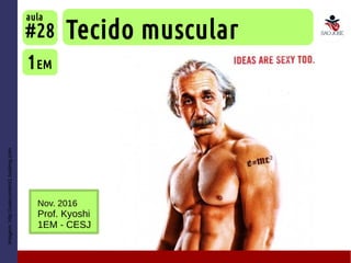 Imagem:http://usercontent1.hubimg.com
Tecido muscular
1EM
#28
aula
Nov. 2016
Prof. Kyoshi
1EM - CESJ
 