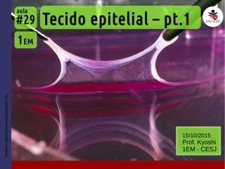 Imagem:science.nationalgeographic.com
Tecido epitelial – pt.1
1EM
#29
aula
15/10/2015
Prof. Kyoshi
1EM - CESJ
 