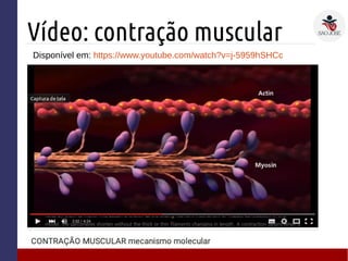 Vídeo: contração muscular
Disponível em: https://www.youtube.com/watch?v=j-5959hSHCc
 
