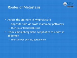 Metasternal Process Comprehensive Embryology and Surgical Anatomy of the Human Breast | PDF