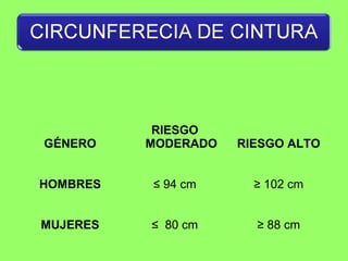 GÉNERO
RIESGO
MODERADO RIESGO ALTO
HOMBRES ≤ 94 cm ≥ 102 cm
MUJERES ≤ 80 cm ≥ 88 cm
 