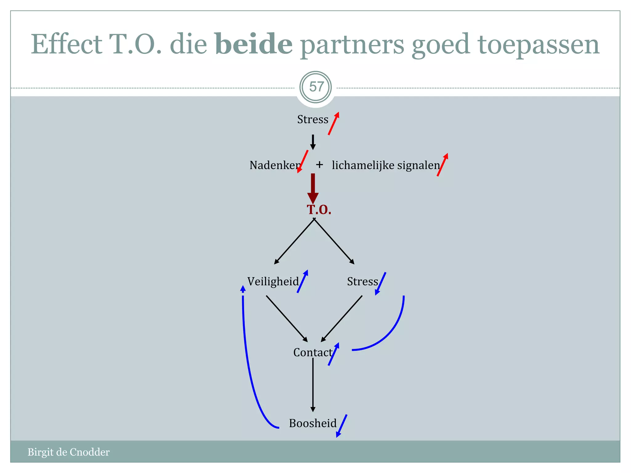 57
Effect T.O. die beide partners goed toepassen
Birgit de Cnodder
57
Stress
Nadenken + lichamelijke signalen
T.O.
Veiligheid Stress
Contact
Boosheid
57
 