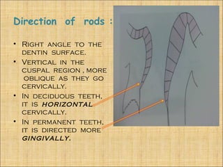 Direction of rods :

• Right angle to the
  dentin surface.
• Vertical in the
  cuspal region , more
   oblique as they go
  cervically.
• In deciduous teeth,
  it is horizontal
  cervically.
• In permanent teeth,
  it is directed more
  gingivally.
 
