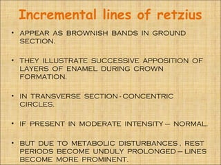 Incremental lines of retzius
• APPEAR AS BROWNISH BANDS IN GROUND
  SECTION.

• THEY ILLUSTRATE SUCCESSIVE APPOSITION OF
  LAYERS OF ENAMEL DURING CROWN
  FORMATION.

• IN TRANSVERSE SECTION - CONCENTRIC
  CIRCLES.

• IF PRESENT IN MODERATE INTENSITY – NORMAL.

• BUT DUE TO METABOLIC DISTURBANCES , REST
  PERIODS BECOME UNDULY PROLONGED – LINES
  BECOME MORE PROMINENT.
 