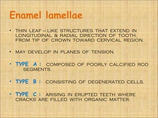 Enamel lamellae
•   THIN LEAF – LIKE STRUCTURES THAT EXTEND IN
    LONGITUDINAL & RADIAL DIRECTION OF TOOTH,
    FROM TIP OF CROWN TOWARD CERVICAL REGION.

•   MAY DEVELOP IN PLANES OF TENSION.

• TYPE A : COMPOSED OF POORLY CALCIFIED ROD
      SEGMENTS.

• TYPE B : CONSISTING OF DEGENERATED CELLS.

• TYPE C : ARISING IN ERUPTED TEETH WHERE
    CRACKS ARE FILLED WITH ORGANIC MATTER.
 