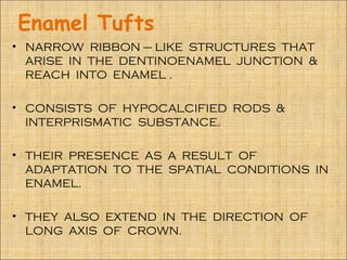 Enamel Tufts
• NARROW RIBBON – LIKE STRUCTURES THAT
  ARISE IN THE DENTINOENAMEL JUNCTION &
  REACH INTO ENAMEL .

• CONSISTS OF HYPOCALCIFIED RODS &
  INTERPRISMATIC SUBSTANCE.

• THEIR PRESENCE AS A RESULT OF
  ADAPTATION TO THE SPATIAL CONDITIONS IN
  ENAMEL.

• THEY ALSO EXTEND IN THE DIRECTION OF
  LONG AXIS OF CROWN.
 