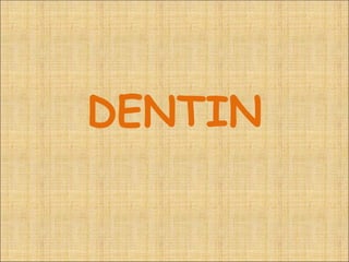 DENTIN
 