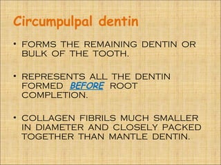 Circumpulpal dentin
• FORMS THE REMAINING DENTIN OR
  BULK OF THE TOOTH.

• REPRESENTS ALL THE DENTIN
  FORMED BEFORE ROOT
  COMPLETION.

• COLLAGEN FIBRILS MUCH SMALLER
  IN DIAMETER AND CLOSELY PACKED
  TOGETHER THAN MANTLE DENTIN.
 