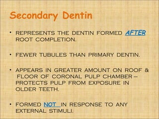 Secondary Dentin
• REPRESENTS THE DENTIN FORMED   AFTER
  ROOT COMPLETION.

• FEWER TUBULES THAN PRIMARY DENTIN.

• APPEARS IN GREATER AMOUNT ON ROOF &
  FLOOR OF CORONAL PULP CHAMBER –
  PROTECTS PULP FROM EXPOSURE IN
  OLDER TEETH.

• FORMED NOT IN RESPONSE TO ANY
  EXTERNAL STIMULI.
 