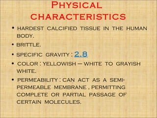 Physical
      characteristics
• hardest calcified tissue in the human
  body.
• brittle.
• specific gravity : 2.8
• color : yellowish – white to grayish
  white.
• permeability : can act as a semi-
  permeable membrane , permitting
  complete or partial passage of
  certain molecules.
 