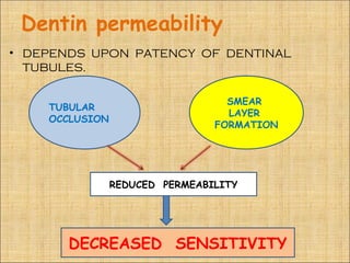 Dentin permeability
• DEPENDS UPON PATENCY OF DENTINAL
  TUBULES.

                                  SMEAR
    TUBULAR
                                  LAYER
    OCCLUSION
                                FORMATION




                REDUCED PERMEABILITY




       DECREASED SENSITIVITY
 