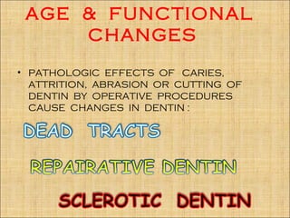 AGE & FUNCTIONAL
     CHANGES
• PATHOLOGIC EFFECTS OF CARIES,
  ATTRITION, ABRASION OR CUTTING OF
  DENTIN BY OPERATIVE PROCEDURES
  CAUSE CHANGES IN DENTIN :
 