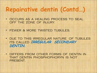 Repairative dentin (Contd…)
• OCCURS AS A HEALING PROCESS TO SEAL
  OFF THE ZONE OF INJURY.

• FEWER & MORE TWISTED TUBULES.

• DUE TO THIS IRREGULAR NATURE OF TUBULES
  ITS CALLED IRREGULAR SECONDARY
 DENTIN.

• DIFFERS FROM OTHER FORMS OF DENTIN IN
  THAT DENTIN PHOSPHOPHORYN IS NOT
  PRESENT.
 