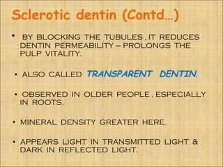 Sclerotic dentin (Contd…)
•   BY BLOCKING THE TUBULES , IT REDUCES
    DENTIN PERMEABILITY – PROLONGS THE
    PULP VITALITY.

• ALSO CALLED    TRANSPARENT DENTIN.

• OBSERVED IN OLDER PEOPLE , ESPECIALLY
 IN ROOTS.

• MINERAL DENSITY GREATER HERE.

• APPEARS LIGHT IN TRANSMITTED LIGHT &
  DARK IN REFLECTED LIGHT.
 
