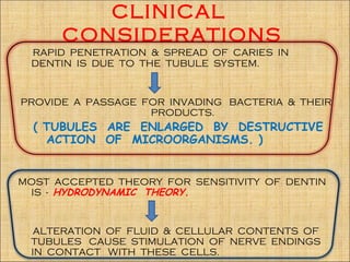 CLINICAL
      CONSIDERATIONS
 RAPID PENETRATION & SPREAD OF CARIES IN
 DENTIN IS DUE TO THE TUBULE SYSTEM.


PROVIDE A PASSAGE FOR INVADING BACTERIA & THEIR
                   PRODUCTS.
  ( TUBULES ARE ENLARGED BY DESTRUCTIVE
    ACTION OF MICROORGANISMS. )


MOST ACCEPTED THEORY FOR SENSITIVITY OF DENTIN
 IS - HYDRODYNAMIC THEORY.


  ALTERATION OF FLUID & CELLULAR CONTENTS OF
 TUBULES CAUSE STIMULATION OF NERVE ENDINGS
 IN CONTACT WITH THESE CELLS.
 