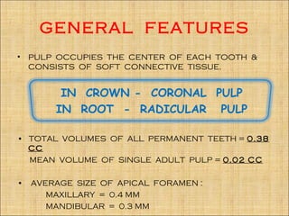 GENERAL FEATURES
•   PULP OCCUPIES THE CENTER OF EACH TOOTH &
    CONSISTS OF SOFT CONNECTIVE TISSUE.


         IN CROWN - CORONAL PULP
        IN ROOT - RADICULAR PULP

• TOTAL VOLUMES OF ALL PERMANENT TEETH = 0.38
  CC
  MEAN VOLUME OF SINGLE ADULT PULP = 0.02 CC

•   AVERAGE SIZE OF APICAL FORAMEN :
       MAXILLARY = 0.4 MM
       MANDIBULAR = 0.3 MM
 