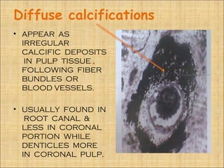 Diffuse calcifications
• APPEAR AS
  IRREGULAR
  CALCIFIC DEPOSITS
   IN PULP TISSUE ,
  FOLLOWING FIBER
  BUNDLES OR
  BLOOD VESSELS.

• USUALLY FOUND IN
   ROOT CANAL &
  LESS IN CORONAL
  PORTION WHILE
  DENTICLES MORE
  IN CORONAL PULP.
 