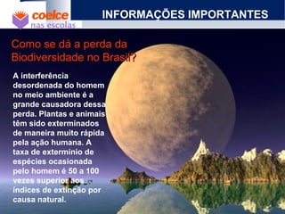 Como se dá a perda daComo se dá a perda da
Biodiversidade no Brasil?Biodiversidade no Brasil?
INFORMAÇÕES IMPORTANTES
A interferência
desordenada do homem
no meio ambiente é a
grande causadora dessa
perda. Plantas e animais
têm sido exterminados
de maneira muito rápida
pela ação humana. A
taxa de extermínio de
espécies ocasionada
pelo homem é 50 a 100
vezes superior aos
índices de extinção por
causa natural.
 