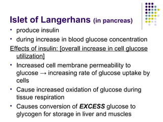 Islet of Langerhans  (in pancreas) produce insulin during increase in blood glucose concentration Effects of insulin: [overall increase in cell glucose utilization] Increased cell membrane permeability to glucose  -> increasing rate of glucose uptake by cells Cause increased oxidation of glucose during tissue respiration  Causes conversion of  EXCESS  glucose to glycogen for storage in liver and muscles 