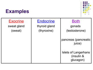 Examples Endocrine thyroid gland (thyroxine) Exocrine sweat gland (sweat) Both gonads  (testosterone) pancreas (pancreatic juice) Islets of Langerhans (insulin & glucagon) 