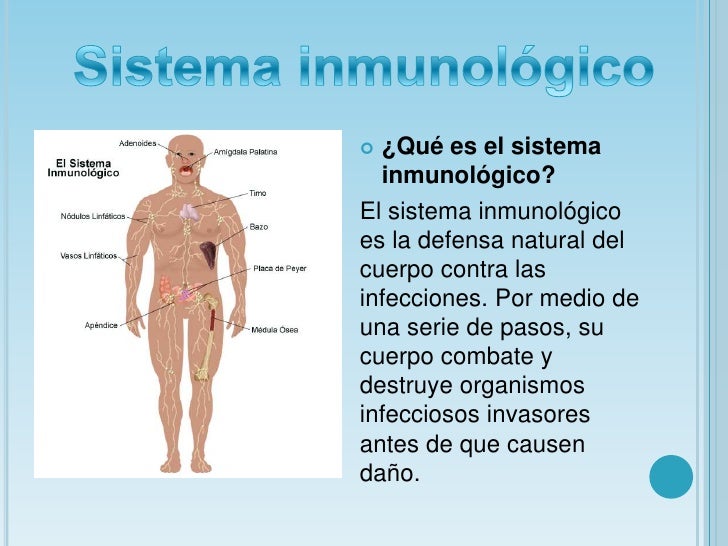 Las uñas muy caras para los pies el hongo