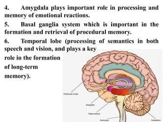 4. Amygdala plays important role in processing and
memory of emotional reactions.
5. Basal ganglia system which is important in the
formation and retrieval of procedural memory.
6. Temporal lobe (processing of semantics in both
speech and vision, and plays a key
role in the formation
of long-term
memory).
 