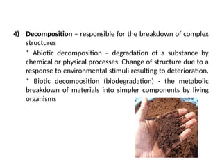 Decomposition Breakdown environmental engineering introduction.pptx