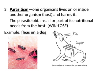 3. Parasitism—one organisms lives on or inside
another organism (host) and harms it.
The parasite obtains all or part of its nutritional
needs from the host. (WIN-LOSE)
Example: fleas on a dog
 