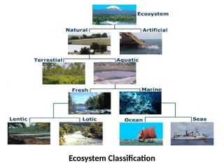 Ecosystem Classification
 