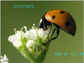 ENZYMES
Prof. Dr. V.P. Ach
 