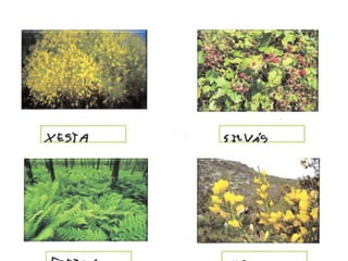 A natureza forma parte de nós