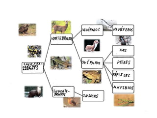 A natureza forma parte de nós