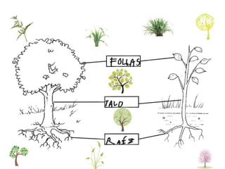 A natureza forma parte de nós