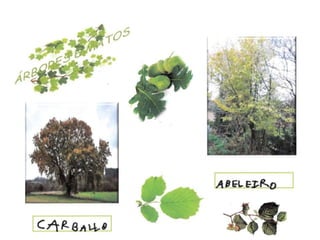 A natureza forma parte de nós