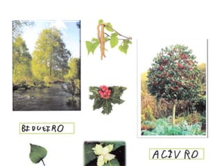 A natureza forma parte de nós