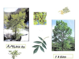 A natureza forma parte de nós