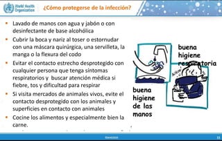 ¿Cómo protegerse de la infección?
 Lavado de manos con agua y jabón o con
desinfectante de base alcohólica
 Cubrir la boca y nariz al toser o estornudar
con una máscara quirúrgica, una servilleta, la
manga o la flexura del codo
 Evitar el contacto estrecho desprotegido con
cualquier persona que tenga síntomas
respiratorios y buscar atención médica si
fiebre, tos y dificultad para respirar
 Si visita mercados de animales vivos, evite el
contacto desprotegido con los animales y
superficies en contacto con animales
 Cocine los alimentos y especialmente bien la
carne.
buena
higiene
respiratoria
buena
higiene
de las
manos
 