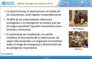 ¿Cómo emergen los nuevos virus?
 La salud humana, la salud animal y el estado de
los ecosistemas, están ligados inseparablemente
 70-80% de las enfermedades infecciosas
emergentes y re-emergentes se conoce que son
de origen zoonótico* (pueden transmitirse entre
animales y humanos)
 El crecimiento de la población, el cambio
climático, el incremento de la urbanización, los
viajes internacionales y la migración incrementan
todos el riesgo de emergencia y diseminación de
los patógenos respiratorios
 