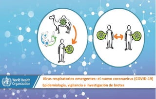 Virus respiratorios emergentes: el nuevo coronavirus (COVID-19)
Epidemiología, vigilancia e investigación de brotes
 