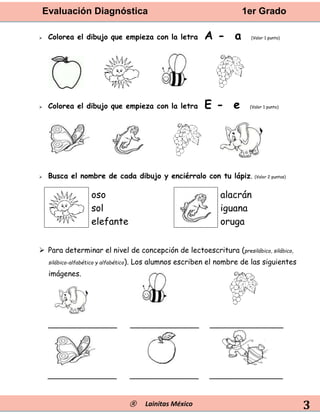 Evaluación Diagnóstica 1er Grado
® Lainitas México 3
 Colorea el dibujo que empieza con la letra A - a (Valor 1 punto)
 Colorea el dibujo que empieza con la letra E - e (Valor 1 punto)
 Busca el nombre de cada dibujo y enciérralo con tu lápiz. (Valor 2 puntos)
oso alacrán
sol iguana
elefante oruga
 Para determinar el nivel de concepción de lectoescritura (presilábico, silábico,
silábico-alfabético y alfabético). Los alumnos escriben el nombre de las siguientes
imágenes.
_______________ _______________ ________________
_______________ _______________ ________________
 