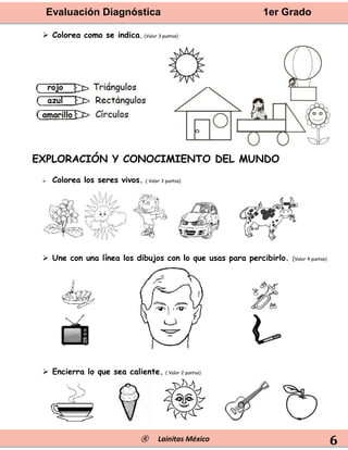 Evaluación Diagnóstica 1er Grado
® Lainitas México 6
 Colorea como se indica. (Valor 3 puntos)
EXPLORACIÓN Y CONOCIMIENTO DEL MUNDO
 Colorea los seres vivos. ( Valor 3 puntos)
 Une con una línea los dibujos con lo que usas para percibirlo. (Valor 4 puntos)
 Encierra lo que sea caliente. ( Valor 2 puntos)
 